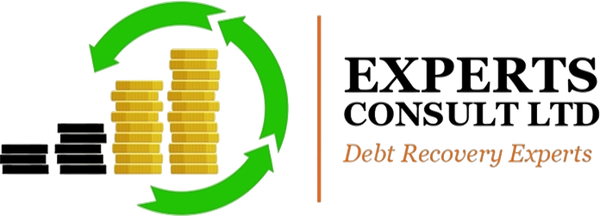 Experts Consult Limited